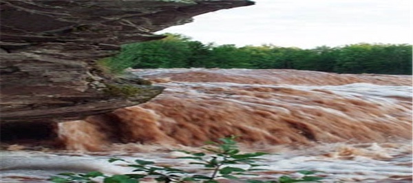 سیل
