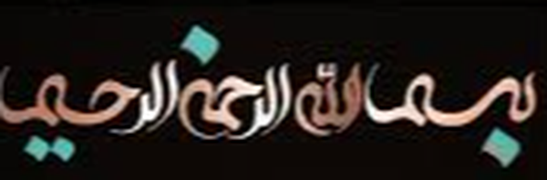 تصویر سربرگ نمایه‌ی ‌عطیه اکبری‌