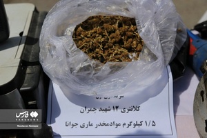نمایشگاه کشفیات پلیس البرز در طرح ضربتی