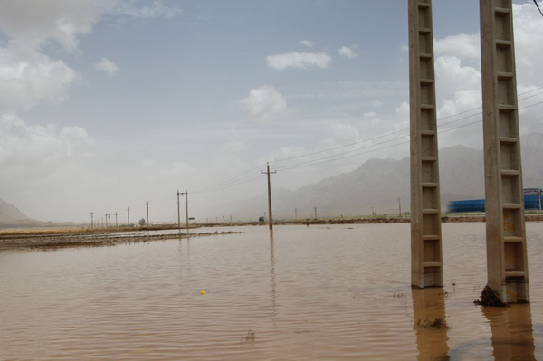 سیل فریدن