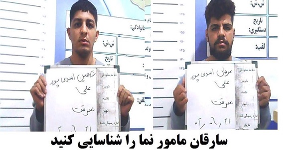 مامورنما 