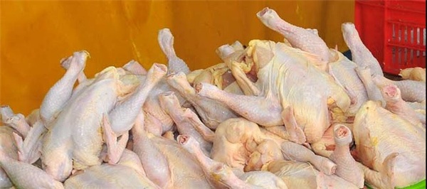 گرانی مرغ