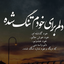 تصویر نمایه‌ی ‌بابارضا راد‌
