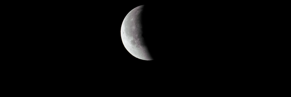 تصویر سربرگ نمایه‌ی ‌علیرضا شمس‌