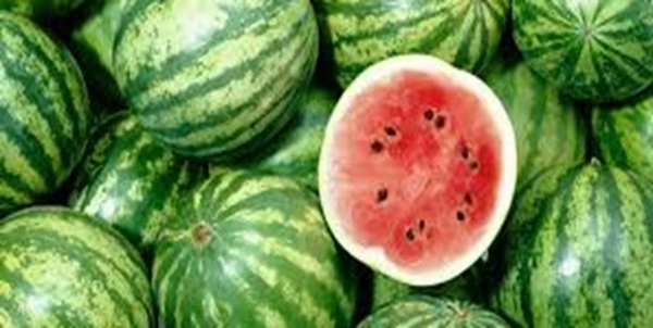هندوانه