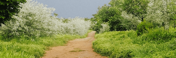 تصویر سربرگ نمایه‌ی ‌حیدر حیدری‌