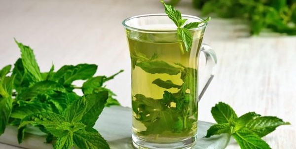 عرق نعنا