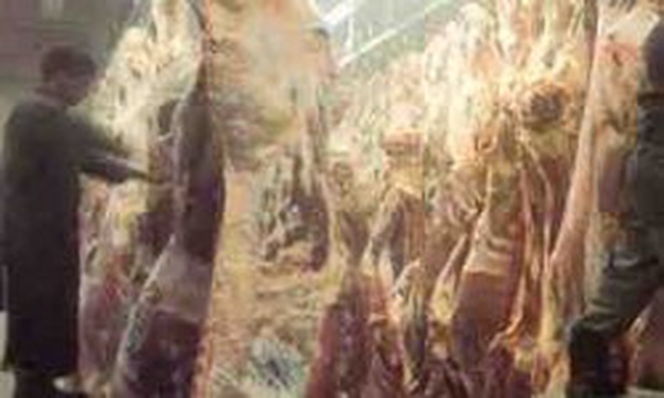 گوشت کشتارگاه