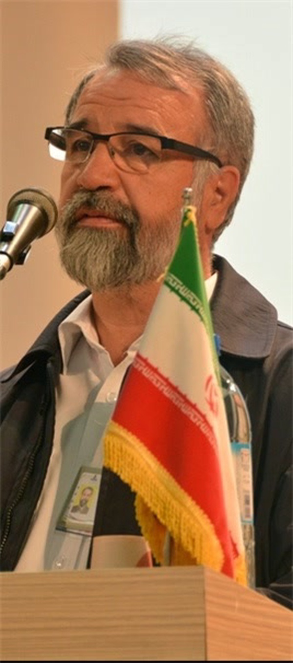 مجتمع گازی حسنی