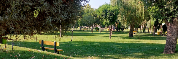 تصویر سربرگ نمایه‌ی ‌زهرا مرادی‌