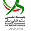 تصویر نمایه‌ی ‌پروفسور علی کرمی‌
