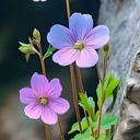 تصویر نمایه‌ی ‌Are علیپور‌
