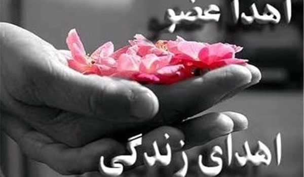 اهدای عضو
