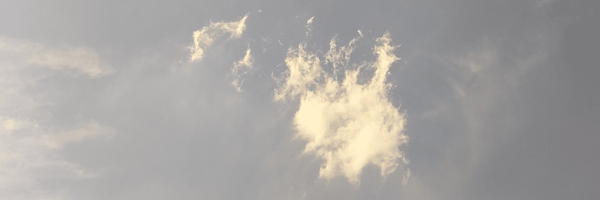 تصویر سربرگ نمایه‌ی ‌نیما اینترنت میخواد.‌