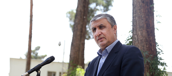 محمد اسلامی