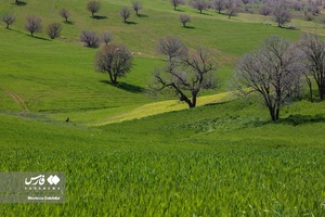 طبیعت «کول میشان»