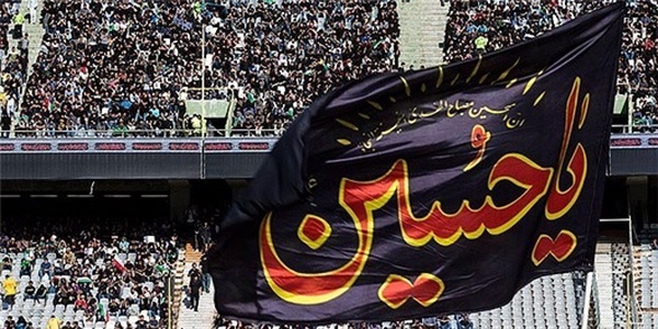 هوادار تیم ملی