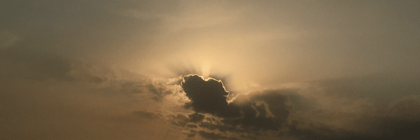 تصویر سربرگ نمایه‌ی ‌اس لش/‌