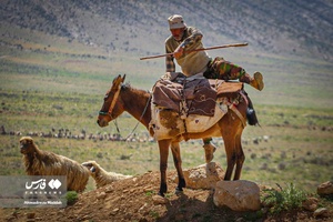 کوچ بهاره «عشایر فارس»