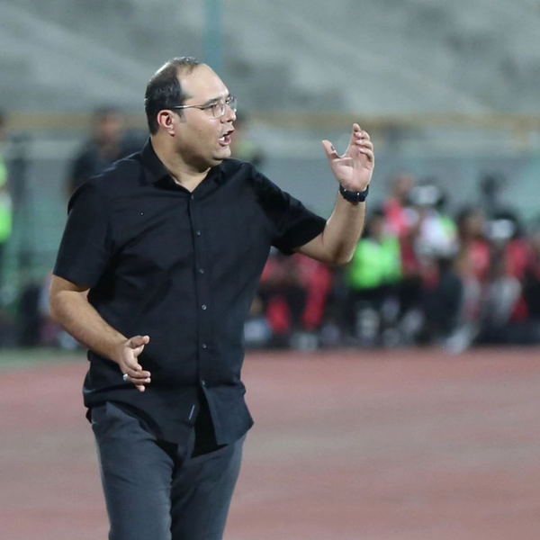 محمد ربیعی
