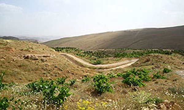 تلفیق آبخیزداری و باغداری