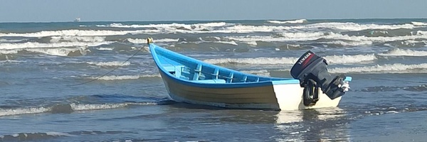 تصویر سربرگ نمایه‌ی ‌سمانه سراج فریدونی‌