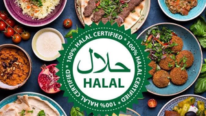 توافق ایران و اروپا برای تسهیل تجارت کالاهای حلال
