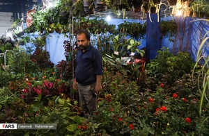 نمایشگاه سراسری گل و گیاه  و صنایع دستی در اهواز
