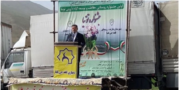 توتيا