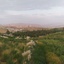 تصویر نمایه‌ی ‌علیرضا مددی گلکی‌