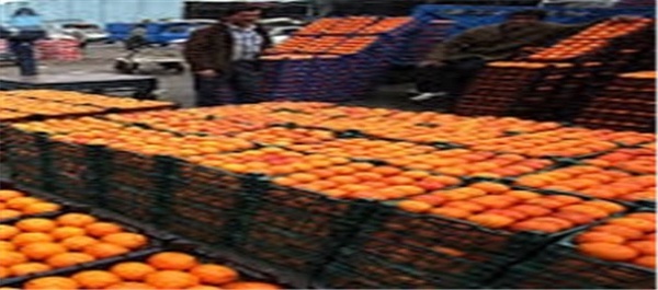 میوه شب عید