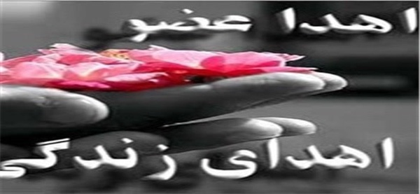 پیوند عضو