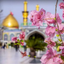 تصویر نمایه‌ی ‌زائر بارانی‌