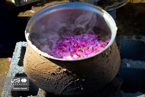 دومین جشنواره گلاب‌گیری امروله