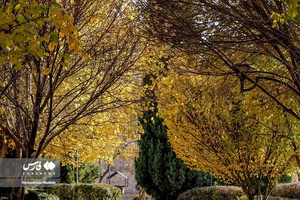 روزهای پاییزی بوستان نماز شیراز 