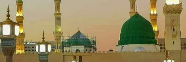 تصویر سربرگ نمایه‌ی ‌حمیدرضا فرزانه‌