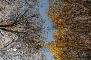 روزهای پاییزی بوستان نماز شیراز 
