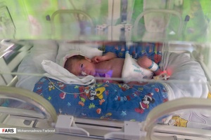 قل سوم (  قل C  ) / بخش مراقبت های ویژه نوزادان ( NICU 2 ) بیمارستان حضرت زینب(س) شیراز