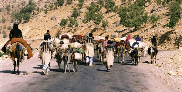 کوچ عشایر