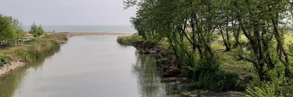 تصویر سربرگ نمایه‌ی ‌منور شعبانپور‌