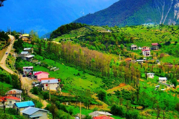 دلیر