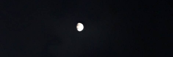 تصویر سربرگ نمایه‌ی ‌فاطمه شجاعی‌
