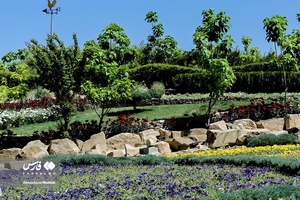 اردیبهشت در باغ گل های شیراز