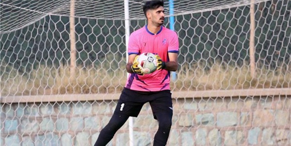 وحید شیخ ویسی