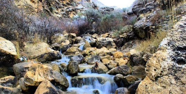 هواشناسی