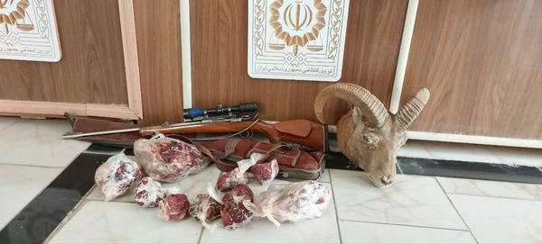 نیشابور