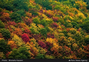 منطقه چهار دانگه ساری. روستاهای الندان و کیاده