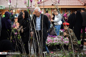 گل‌های بهاری مهمان‌خانه اصفهانی‌ها