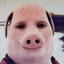 تصویر نمایه‌ی ‌John Pork‌