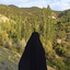 تصویر نمایه‌ی ‌صغری مشگینی‌